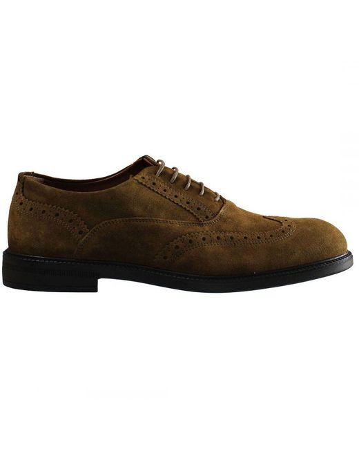 Hackett Brown Chino Pln Brogue Shoes Leather for men