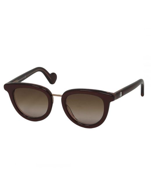Moncler Brown Ml0044 71F Sunglasses