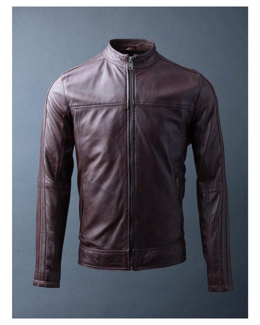 Lakeland leather mens on sale jackets