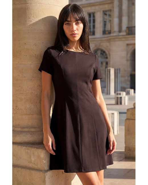 Roman Brown Petite Ponte Dress