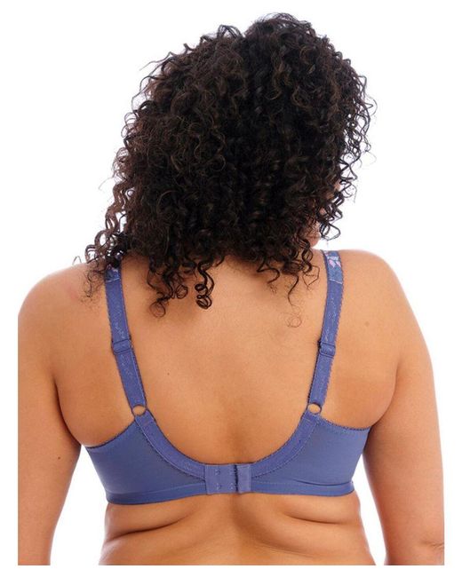 Elomi Blue Morgan Full Cup Bra