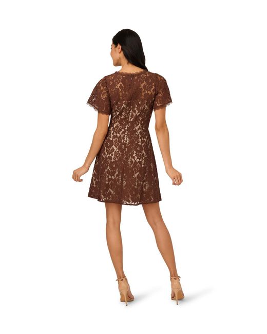 Adrianna Papell Brown Lace Flounce Short Dress