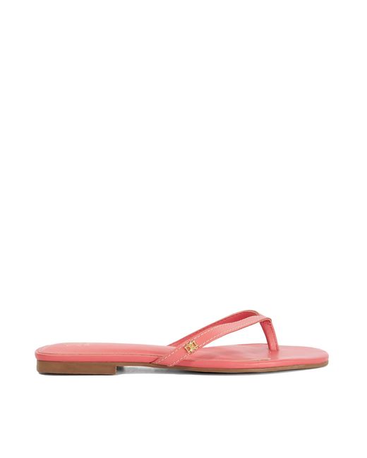 Dune Pink Ladies Lasslie