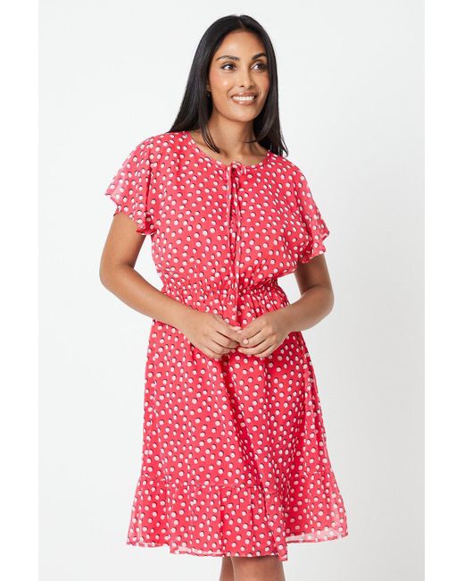 Wallis Red Petite Spot Print Tie Neck Mini Dress