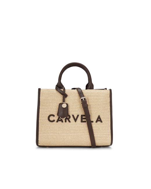 Carvela Kurt Geiger Metallic Frame Raffia Midi Bag