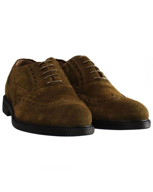Hackett Brown Chino Pln Brogue Shoes Leather for men