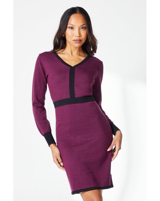 PRINCIPLES Purple Colourblock V Neck Mini Dress
