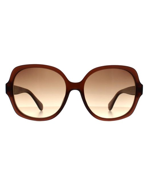 Calvin Klein Brown Cat Eye Crystal Gradient Ck19538S