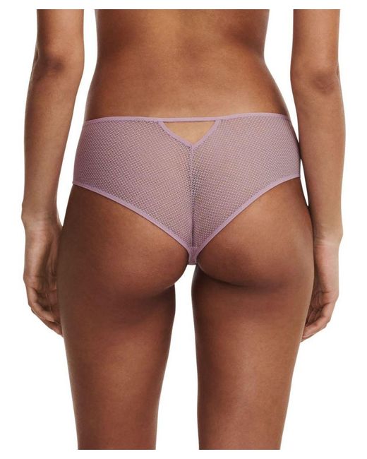 Passionata Purple Olivia Shorty Nylon