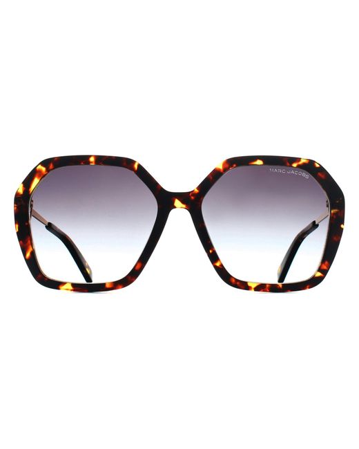 Marc Jacobs Brown Butterfly Havana Azure Gradient 689/S