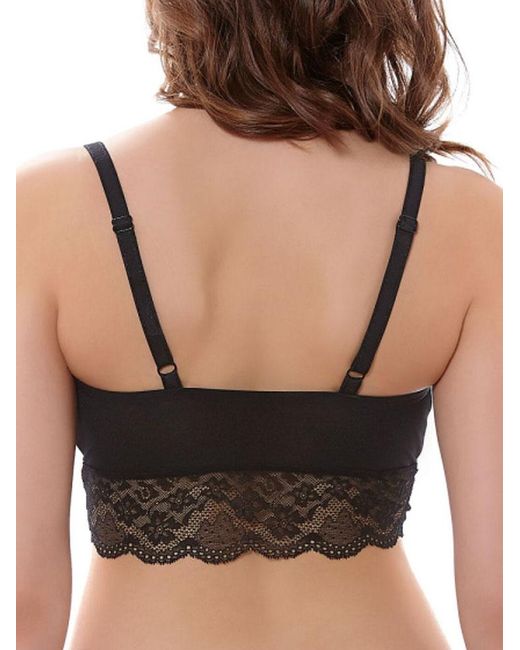 Freya Black Fancies Bralette