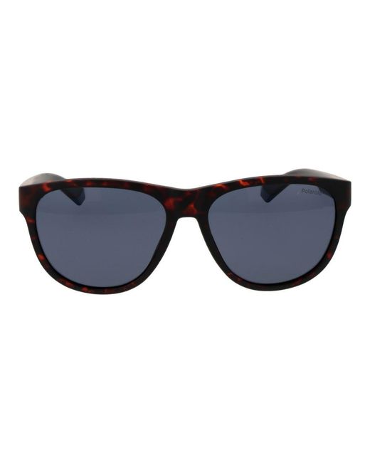 Polaroid Blue Brown Plastic Sunglasses