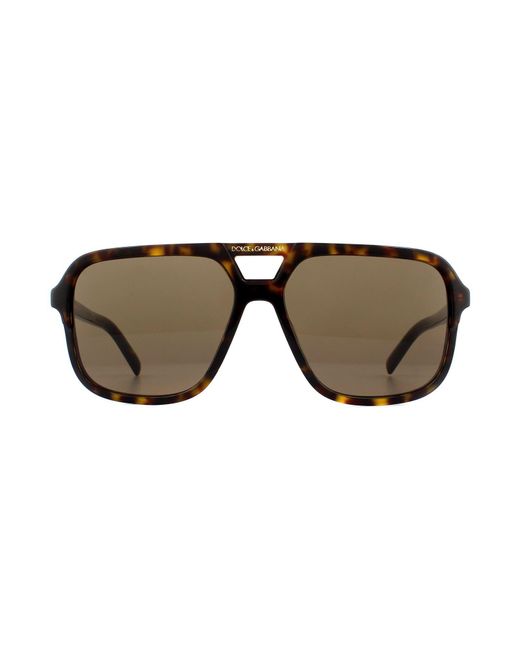Dolce & Gabbana Brown Sunglasses Dg4354 502/73 Havana Gradient for men