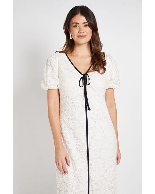 Wallis Natural Lace Contrast Column Dress