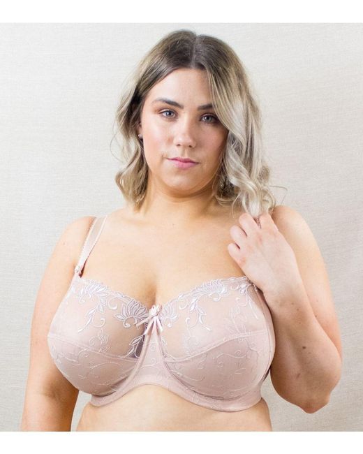 Pour Moi Pink Imogen Rose Embroidered Balconette Bra