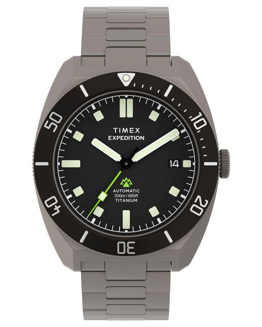 Timex Gray Expedition Pioneer Watch Tw2Y63800 Titanium for men