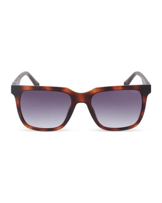 Police Brown Spln34M 54 540878 Sunglasses for men
