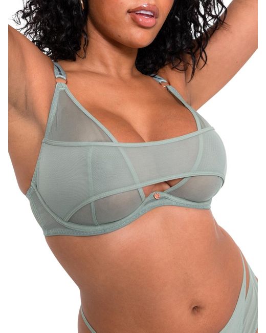 Curvy Kate Gray Peep Show Deep Plunge Bra