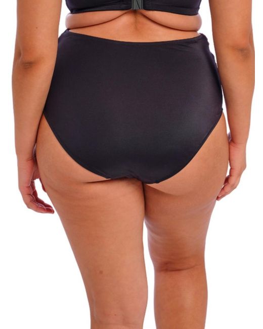 Elomi Blue Cabana Nights Full Bikini Brief