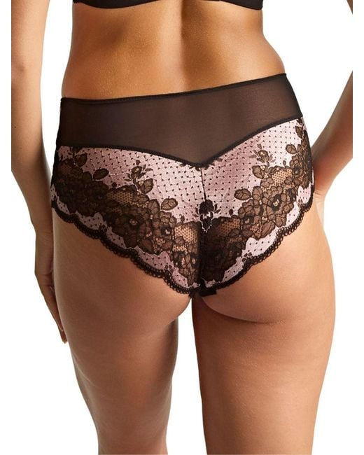 Panache Brown Clara Deep Brief