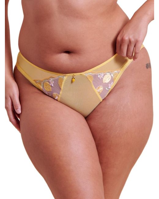 Curvy Kate Natural Limoncello Tanga