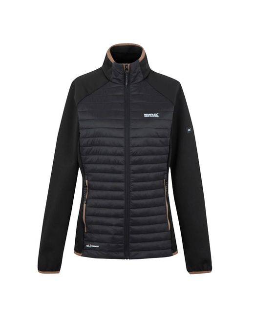 Regatta Black Ladies Clumber Hybrid Jacket