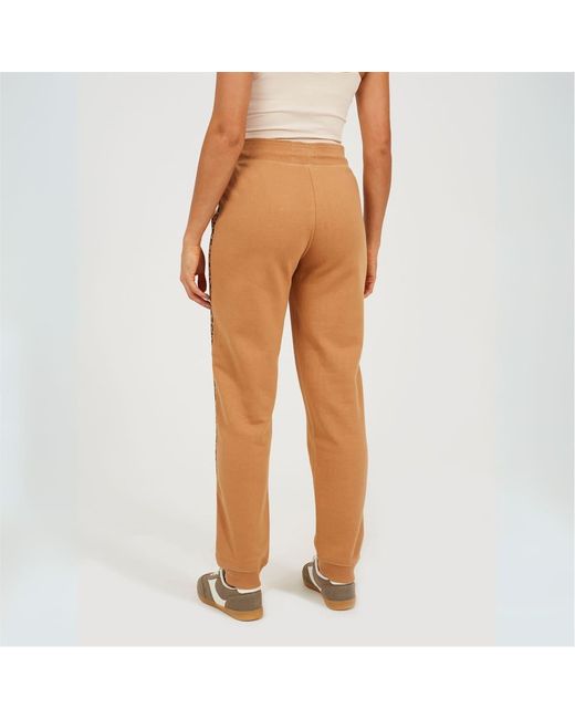 Brave Soul Orange With Leopard Side Stripe