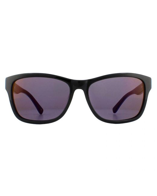 Lacoste Brown Rectangle Sunglasses