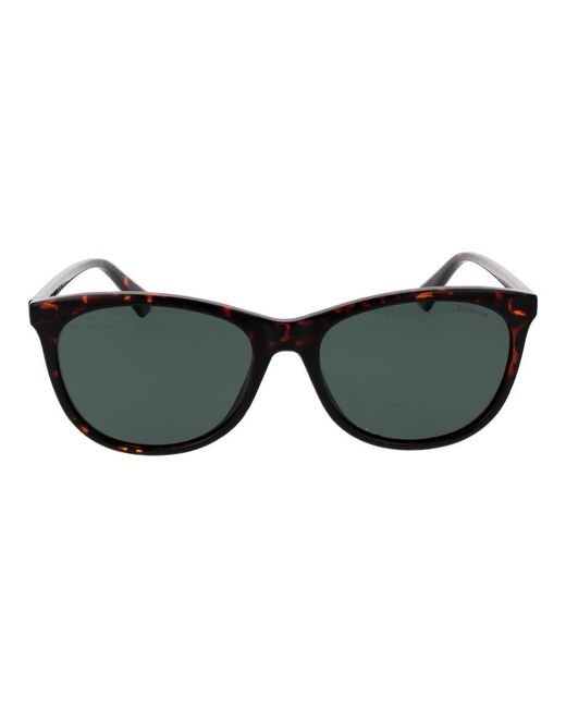 Polaroid Black Brown Plastic Sunglasses