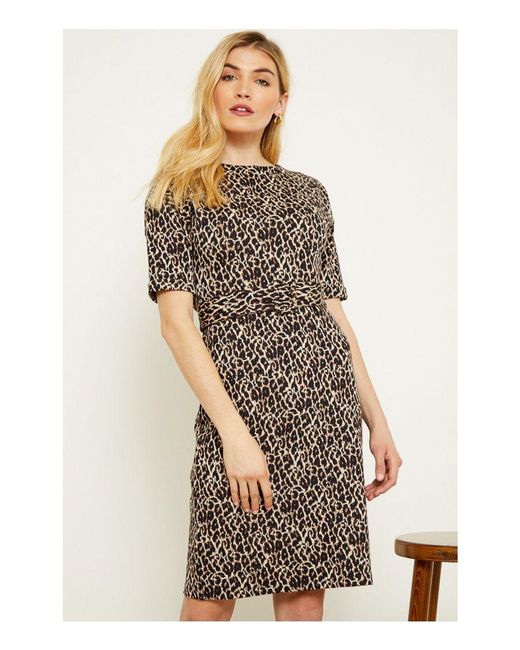 Sosandar White Leopard Jacquard Belted Wiggle Dress