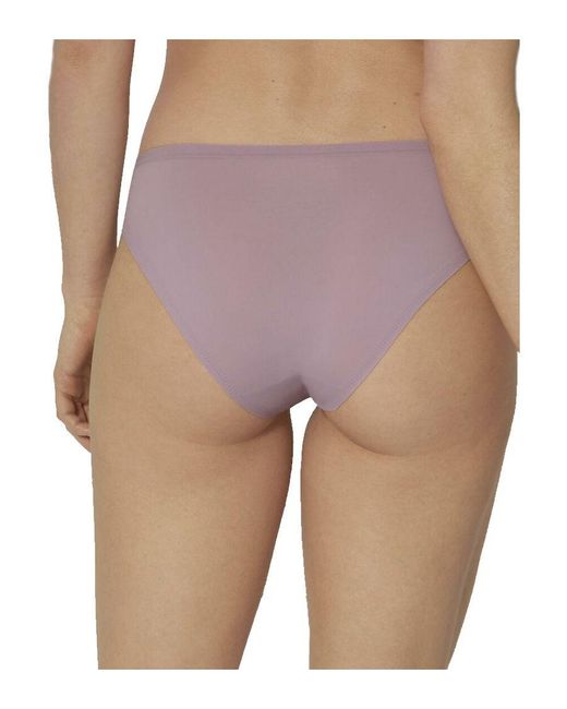 Sloggi Purple Zero One Tai Briefs