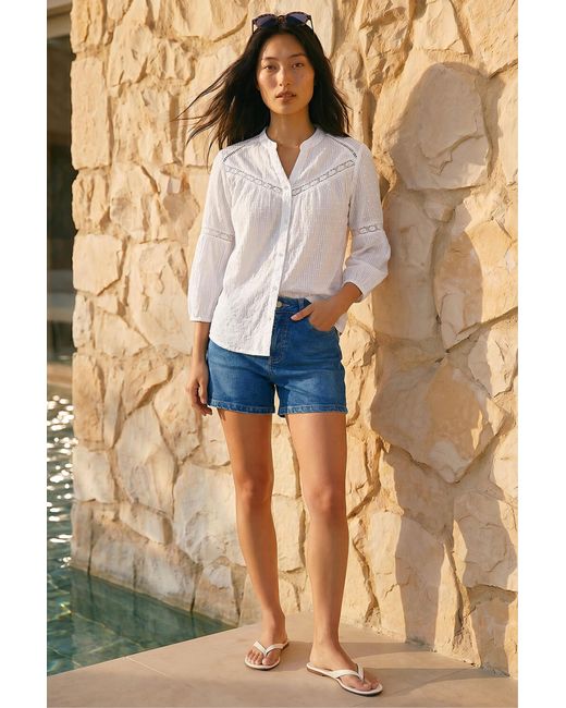 Roman Blue Petite Dobby Lace Trim Blouse