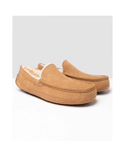 Ugg White Ascot Slipper for men