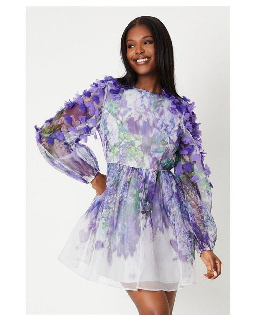 Coast Blue Hand Stitched 3D Floral Organza Mini Dress