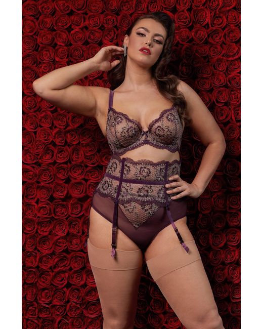 Dita Von Teese Lingerie Red Evelina High Waist Curve Brief