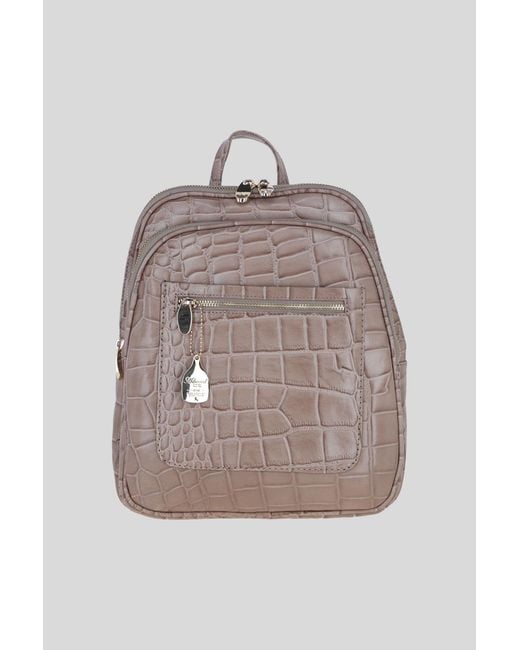 Ashwood Leather Gray Real Backpack With Multiple Pockets And-Tone Hardware