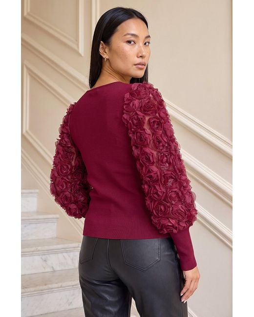 Roman Red Lace Sleeve V-Neck Knit Top
