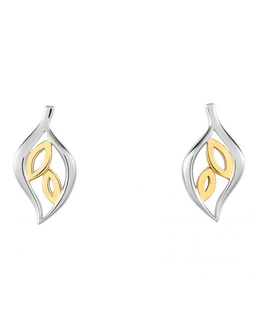 Orphelia Metallic 'Charlotte' 925 Sterling Stud Earrings