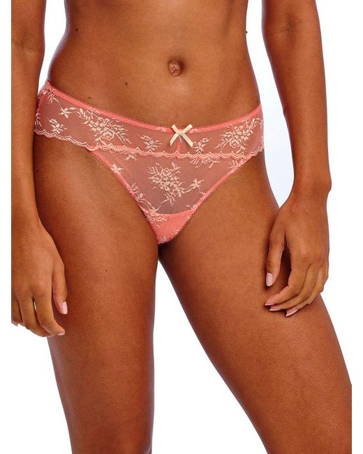 Freya Brown Offbeat Decadence Brief