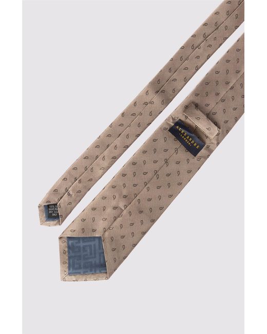 Alexandre Silver Label Multicolor Paisley Tie for men