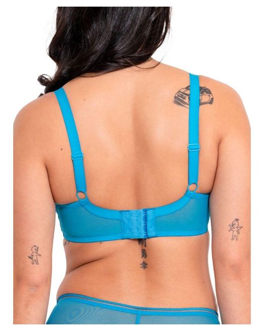 Curvy Kate Blue Lifestyle Plunge Bra