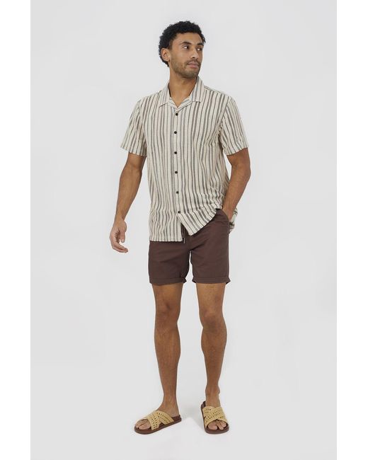 Brave Soul Brown Cotton Chino Shorts With Turn Up Hem for men