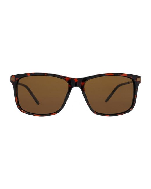 Timberland Brown Tb7177 58 5852E Sunglasses for men