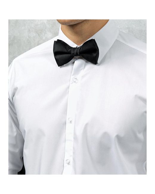 PREMIER Fliege Schleife in White für Herren