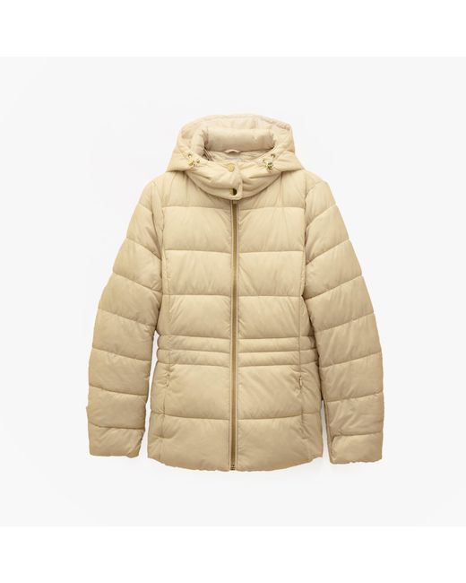 Joules Natural Hadlow Padded Short Coat Neutral