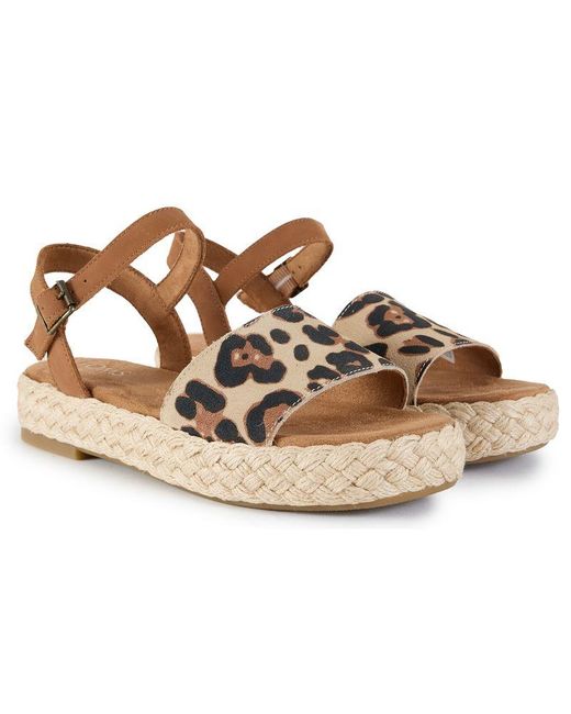 TOMS Brown Abby Sandals