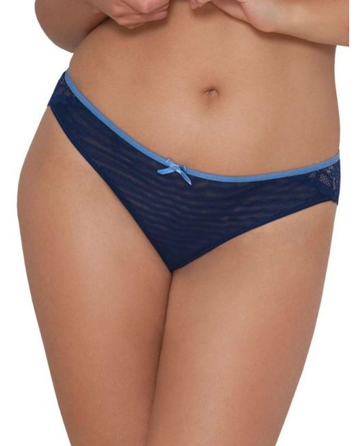 Curvy Kate Blue Ck4405 Ellace Brazilian
