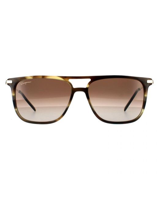 Ferragamo Brown Square Striped Khaki Gradient Sunglasses for men