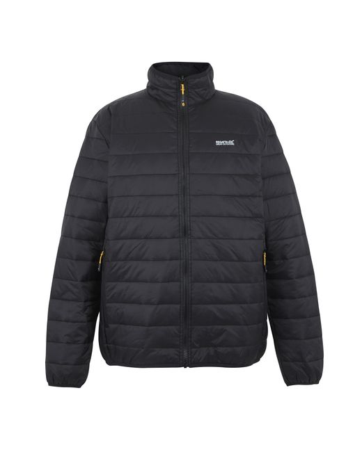 Regatta Blue Wentwood 3 for men