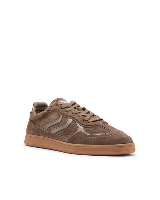 Steve Madden Brown Suede Claymorre 24 D Sneakers for men